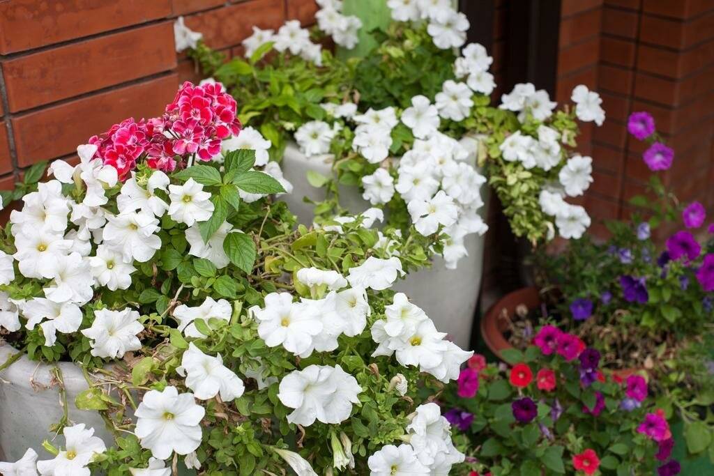 Фото Гостиницы Энергия Батайск 23