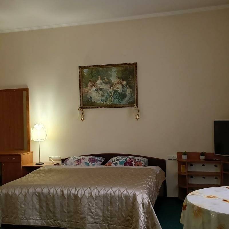 Фотографии номера Студия с двуспальной кроватью и диваном-кроватью в Гостинице Энергия Батайск