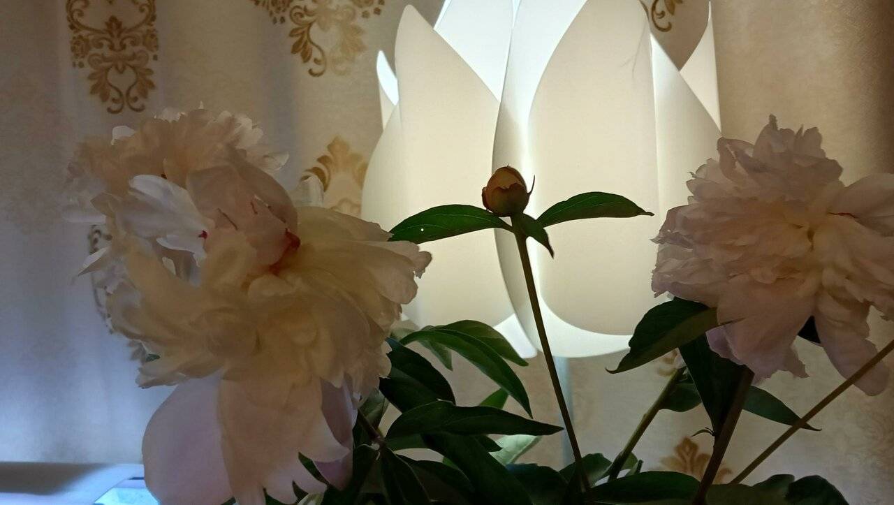 Фото Гостиницы Энергия Батайск 34